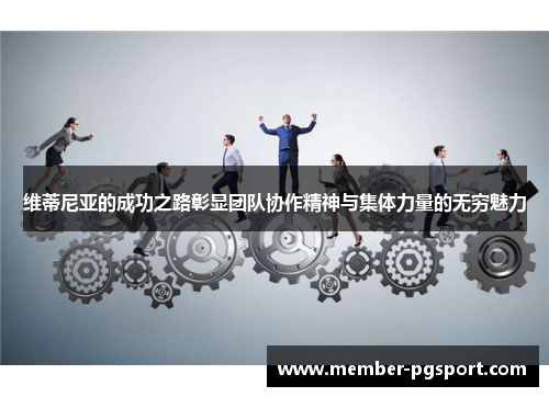 维蒂尼亚的成功之路彰显团队协作精神与集体力量的无穷魅力