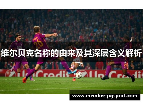 维尔贝克名称的由来及其深层含义解析