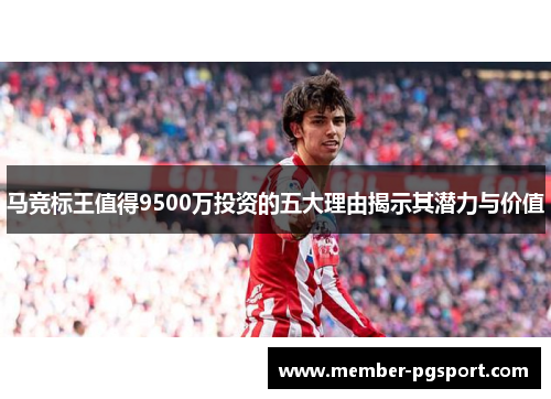 马竞标王值得9500万投资的五大理由揭示其潜力与价值