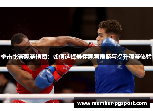 拳击比赛观赛指南：如何选择最佳观看策略与提升观赛体验