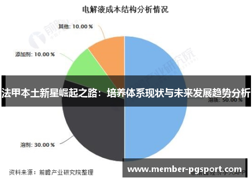 法甲本土新星崛起之路：培养体系现状与未来发展趋势分析